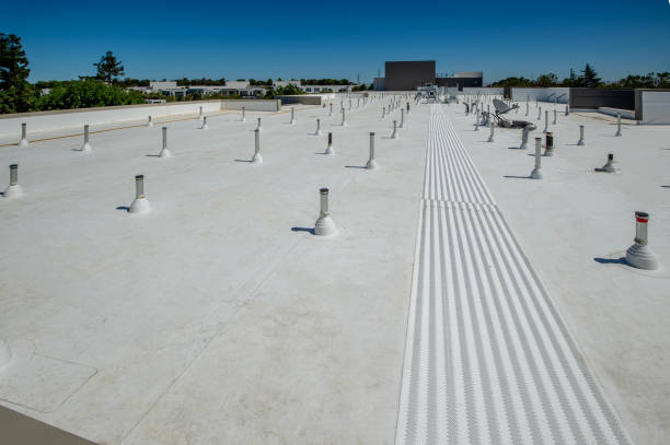 Best Asphalt Shingles Roofing  in Grain Valley, MO